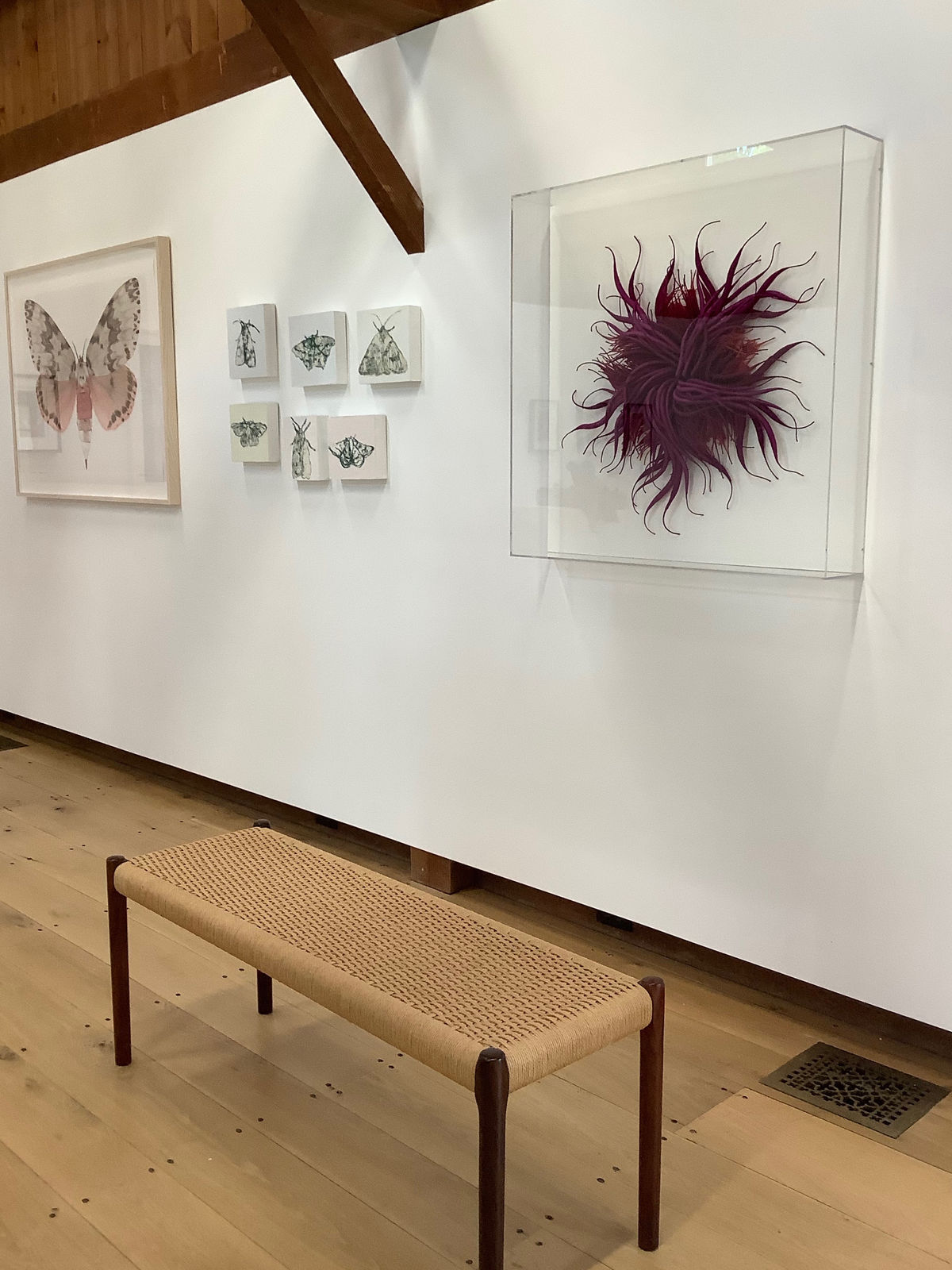 Catherine Latson, Specimen #19, 2020