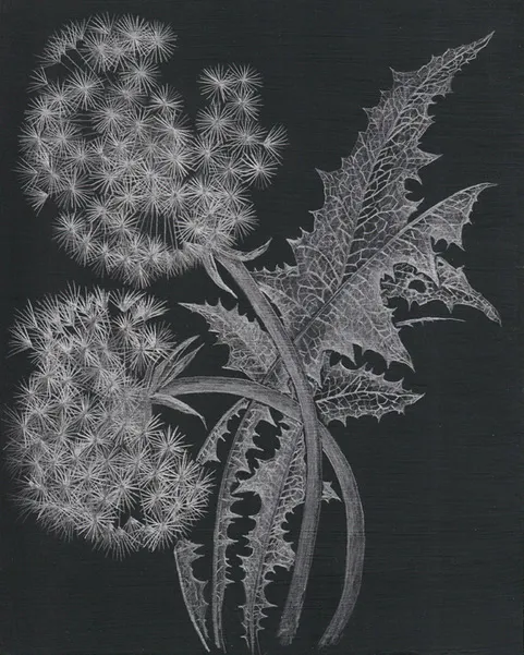 Margot Glass, Two Dandelions, 2019