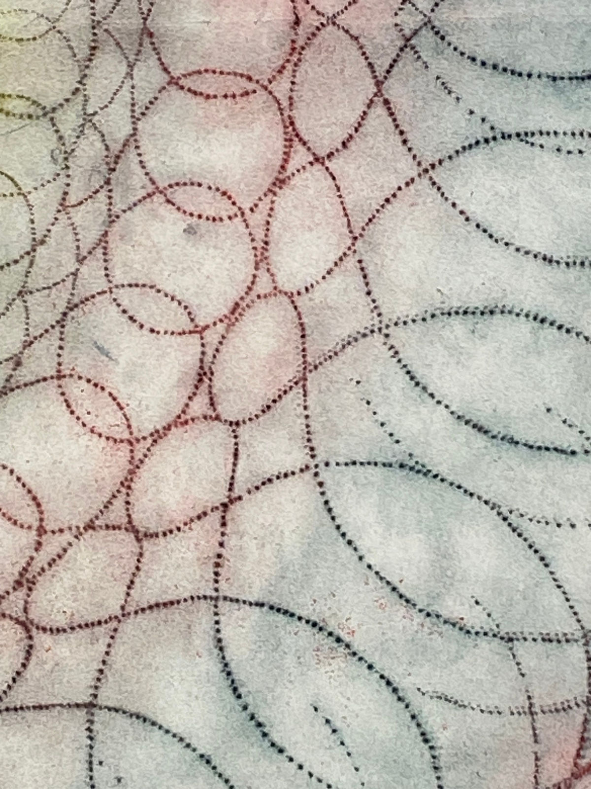 Mary Judge, Primavera Pop 30, 2022