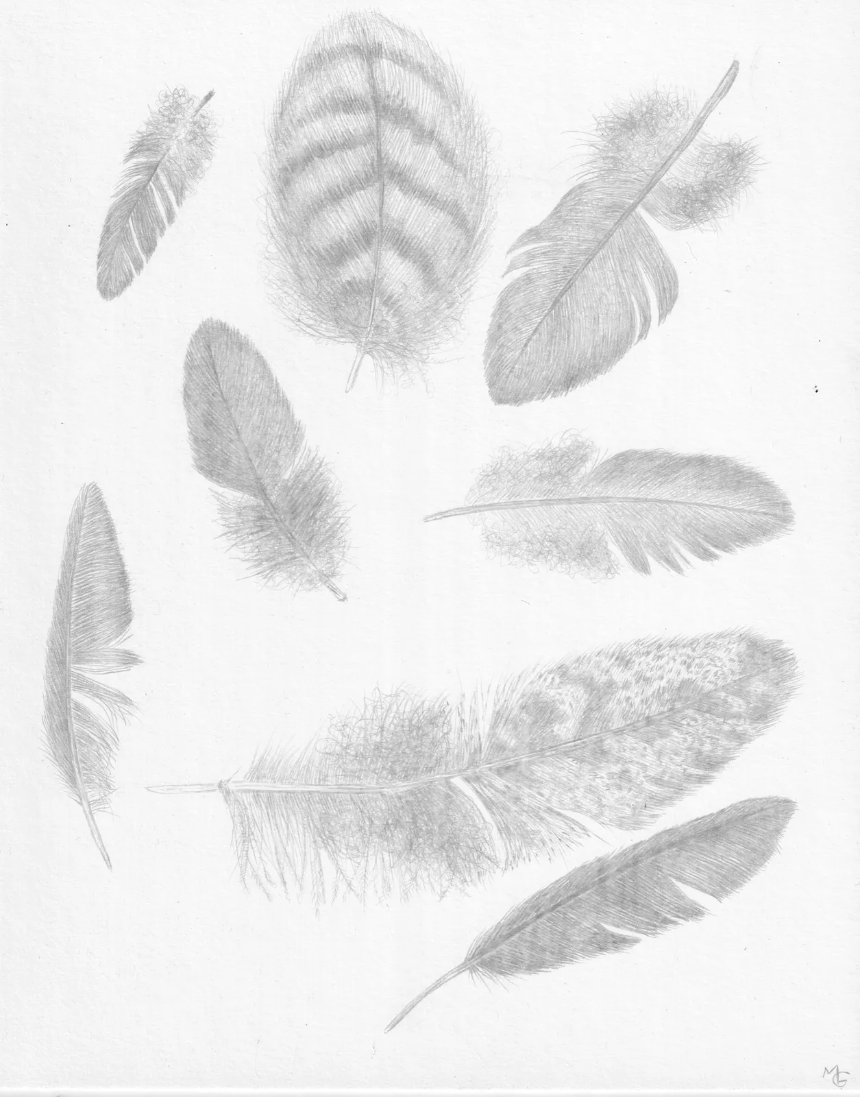 Margot Glass, Feather Group 1, 2021