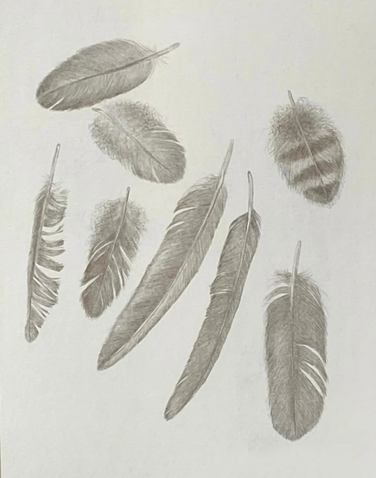 Margot Glass, Feather Group 3, 2021