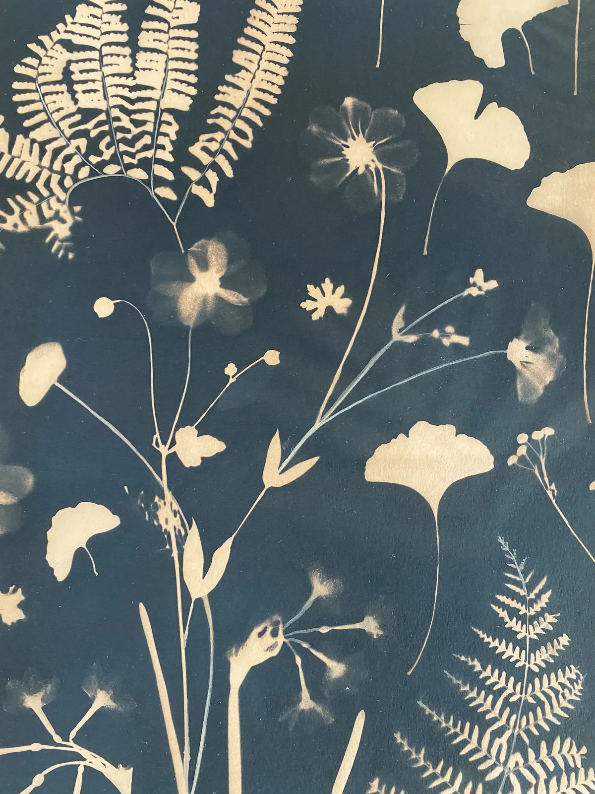 Julia Whitney Barnes, Cyanotype Painting (Tea Toned Gingko, Ferns, Petals, etc.), 2021