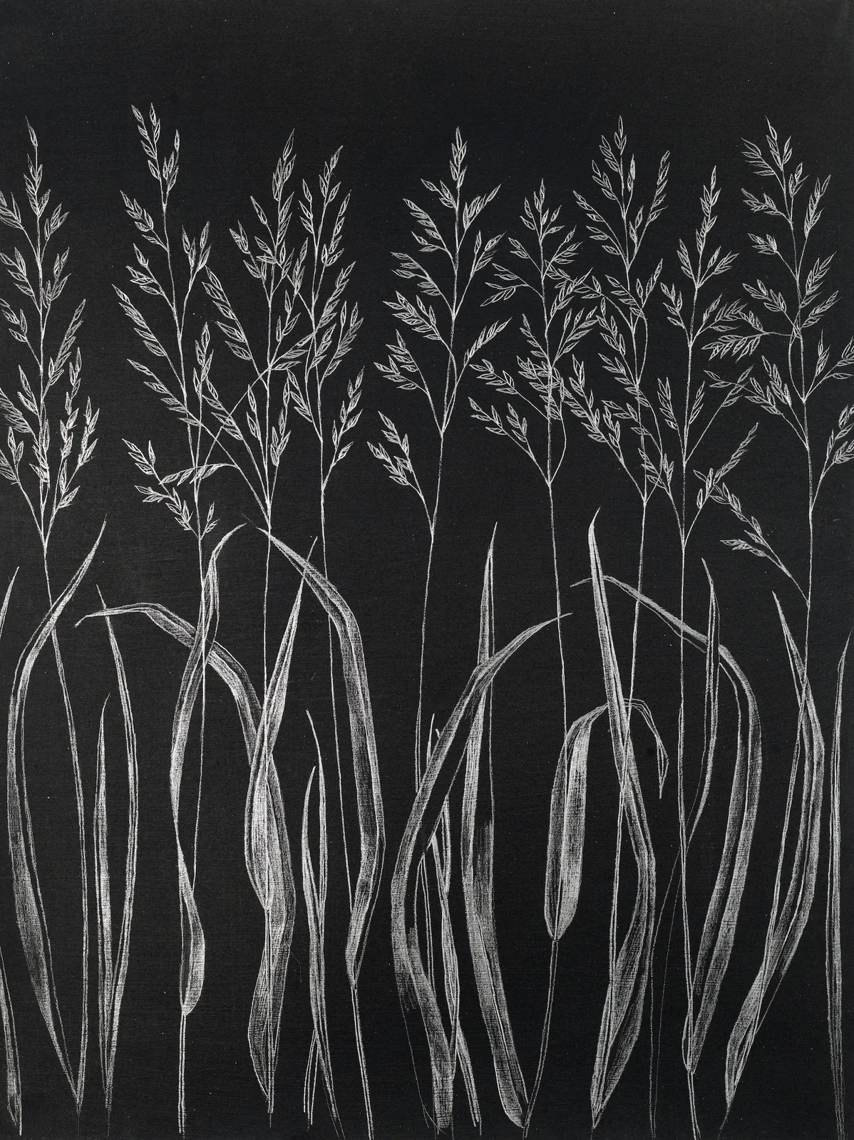 Margot Glass, Grasses, 2019