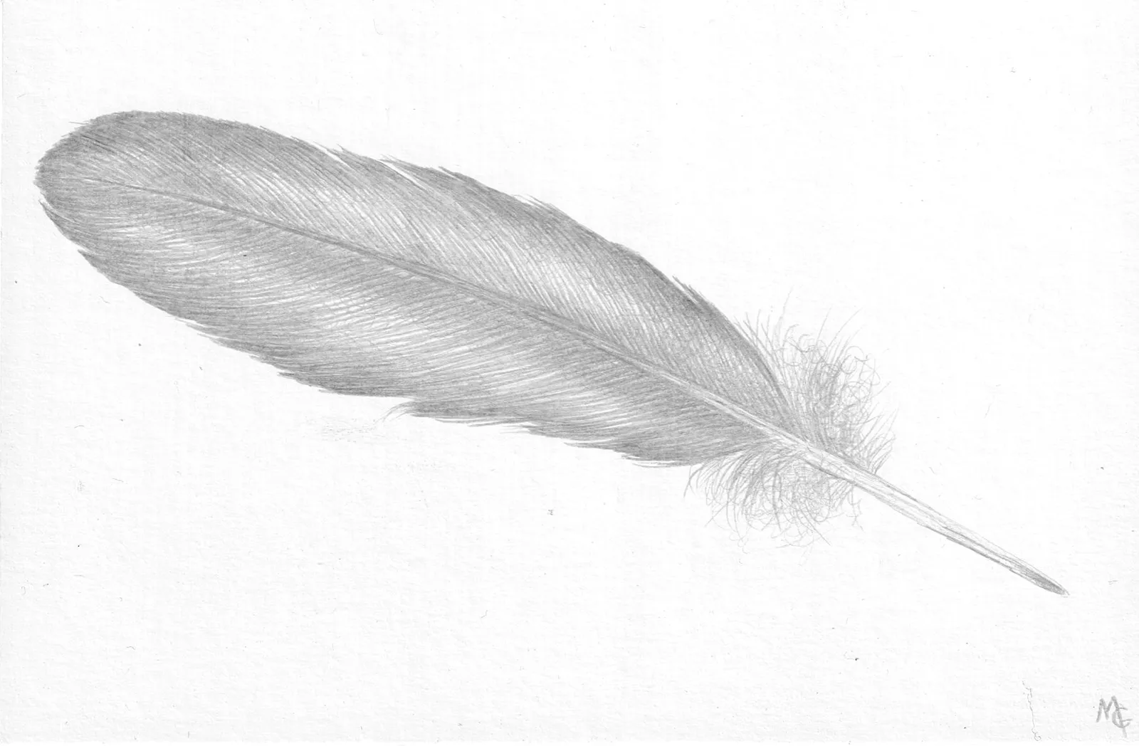Margot Glass, Small Grey Feather, 2021