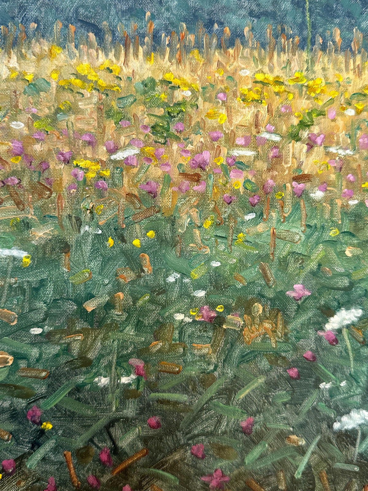 Thomas Sarrantonio, Field Painting August 3, 2023