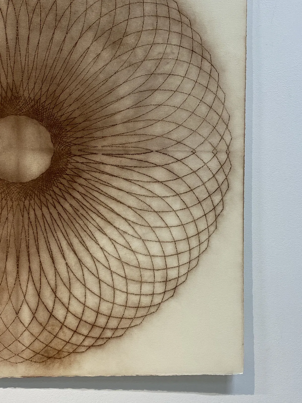 Mary Judge, Exotic Hex Series, 12/1, 2006