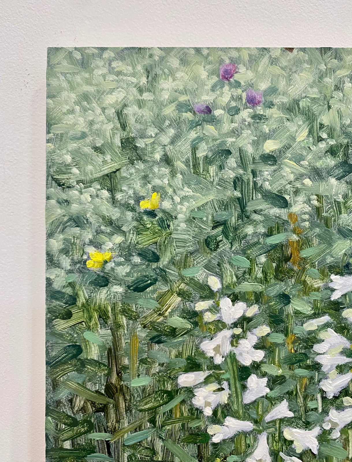 Thomas Sarrantonio, Field Painting June 11, 2021