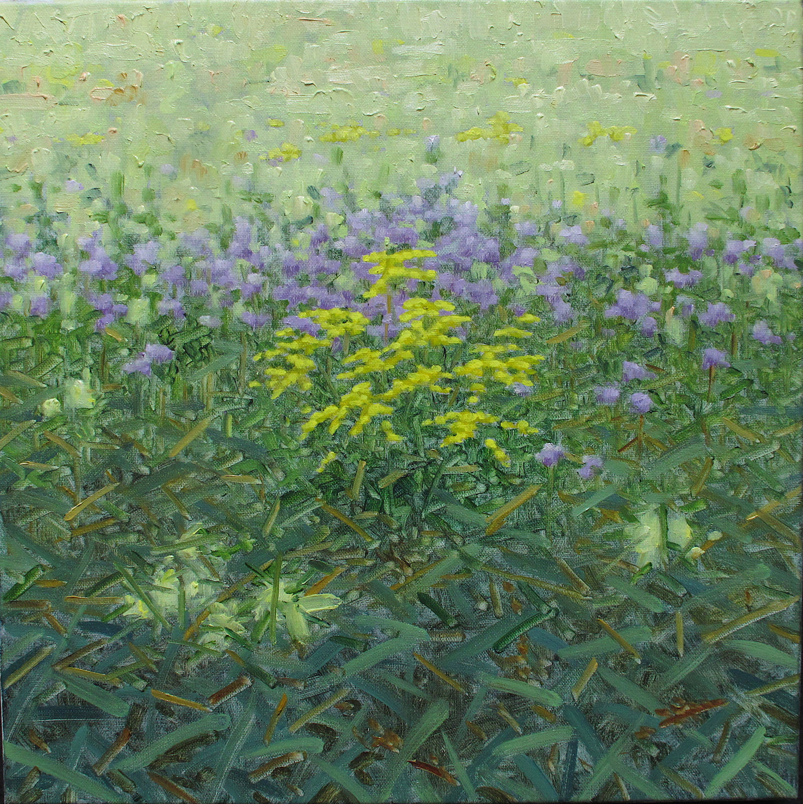 Thomas Sarrantonio, Bergamot and Goldenrod, 2019