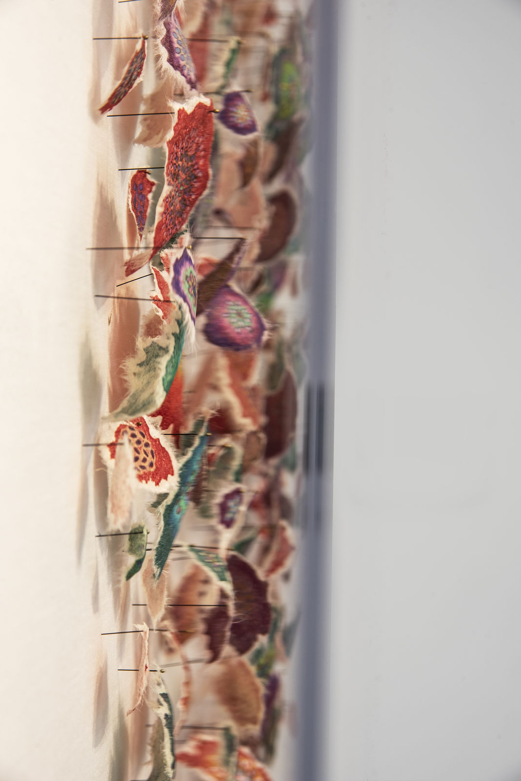 Jill Parisi, Polychrome Synusia, 2019