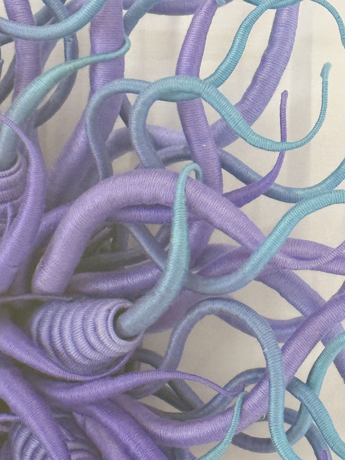 Catherine Latson, Specimen 44, 2025