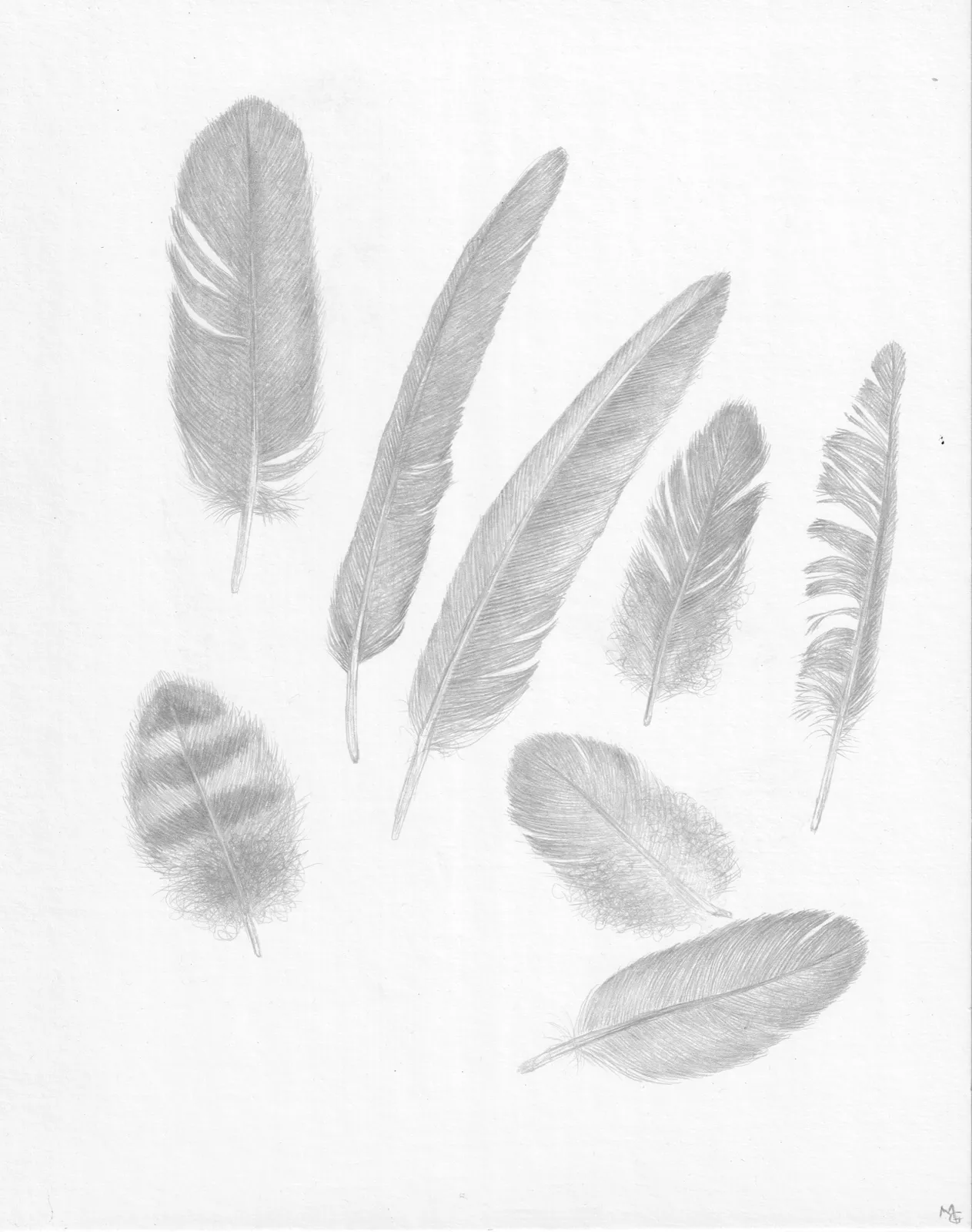 Margot Glass, Feather Group 3, 2021