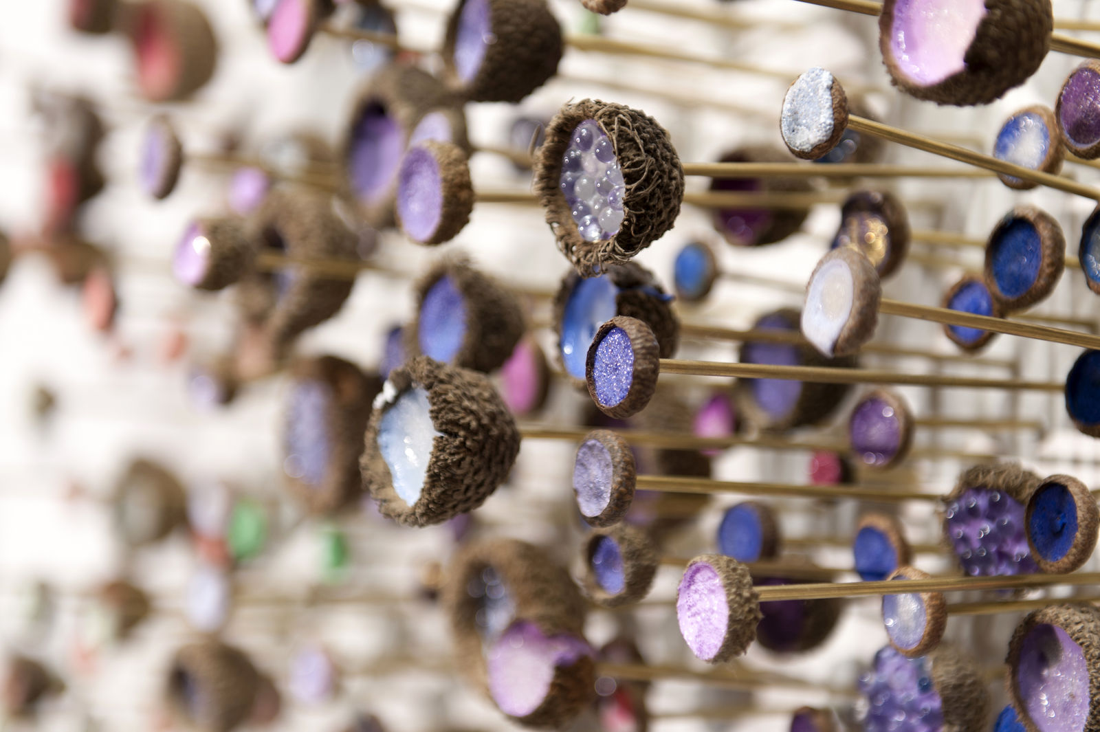 Julie Maren, Botanica, 2018