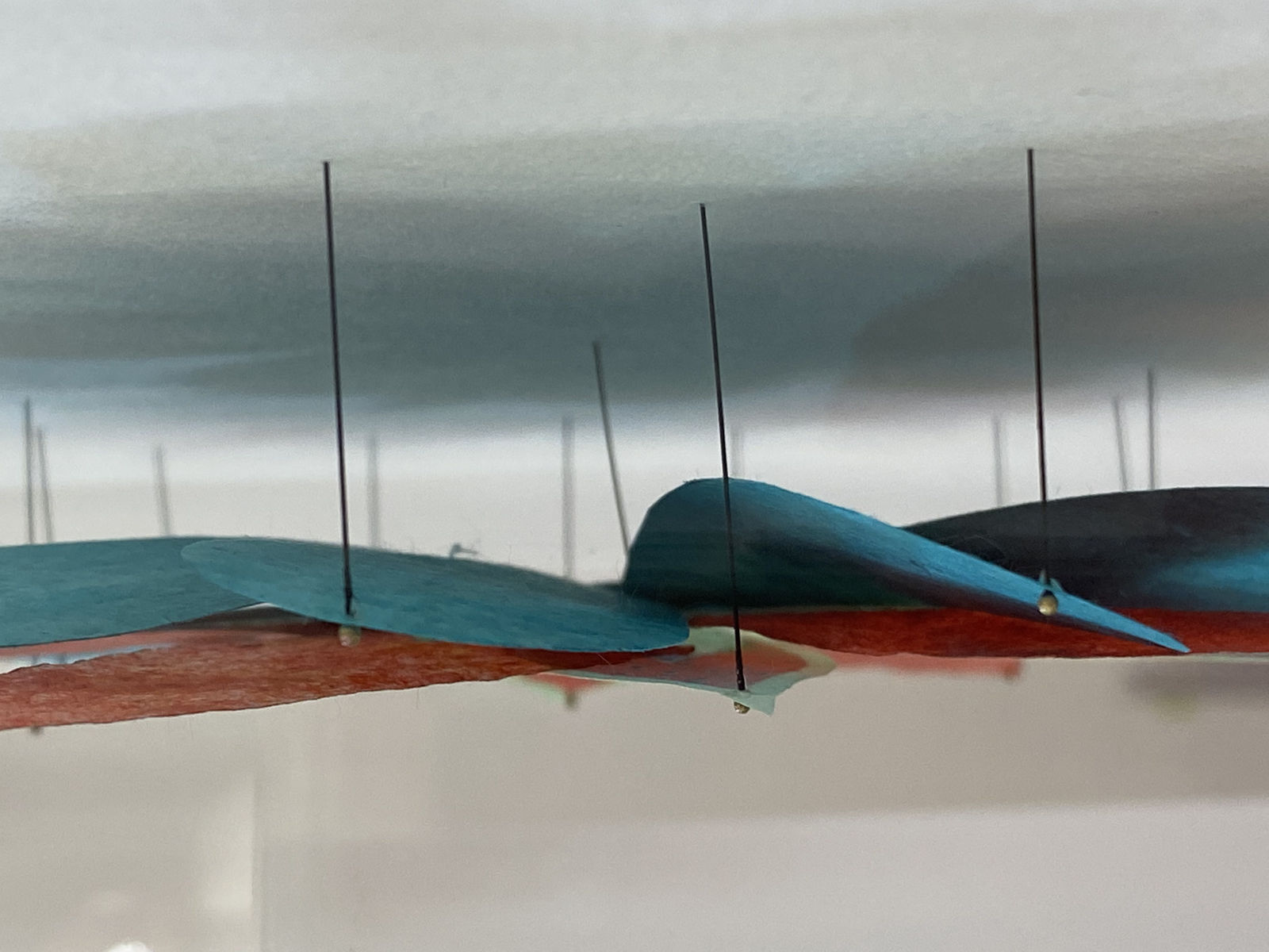 Jill Parisi, Fanfare Star, 2021