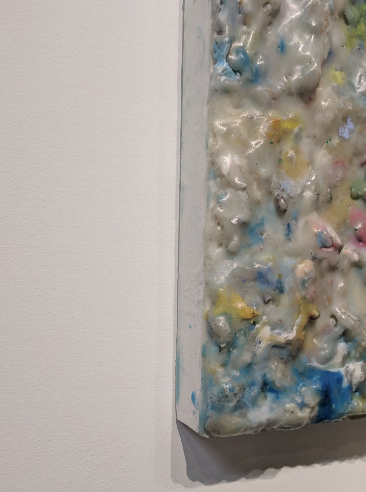 Cecile Chong, Competing Interests, 2018