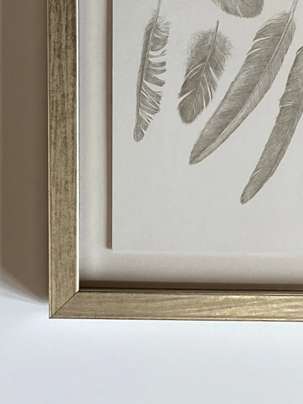 Margot Glass, Feather Group 3, 2021