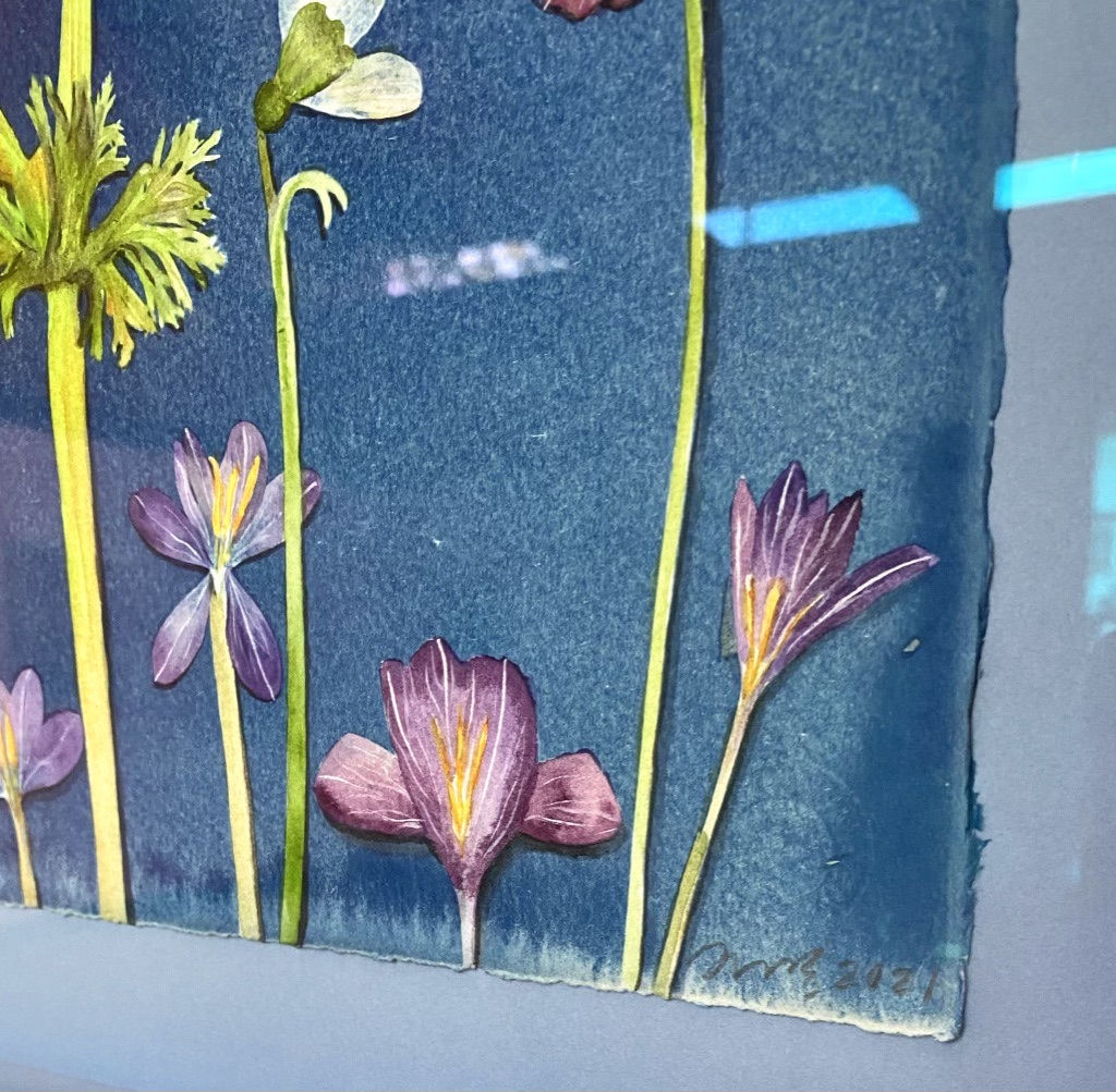 Julia Whitney Barnes, Cyanotype Painting (Anemones, Ferns, Snowdrops, Pollinators, etc), 2021
