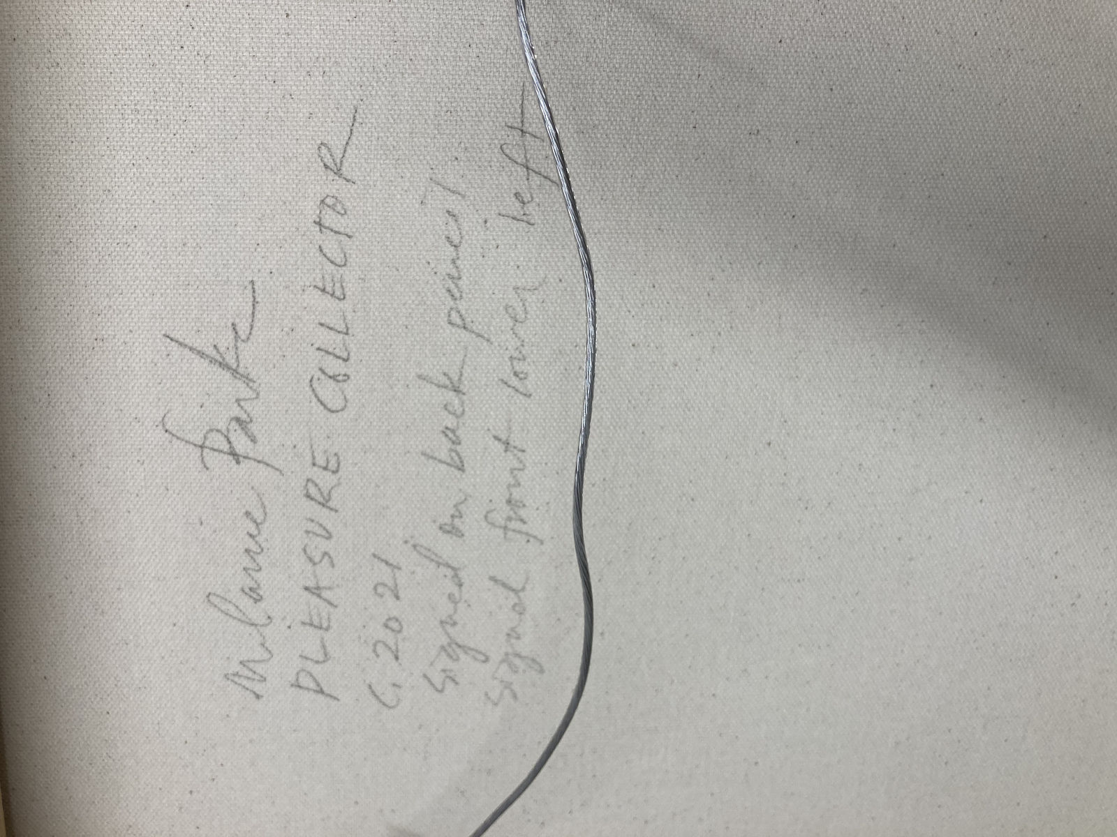 Melanie Parke, Pleasure Collector, 2021