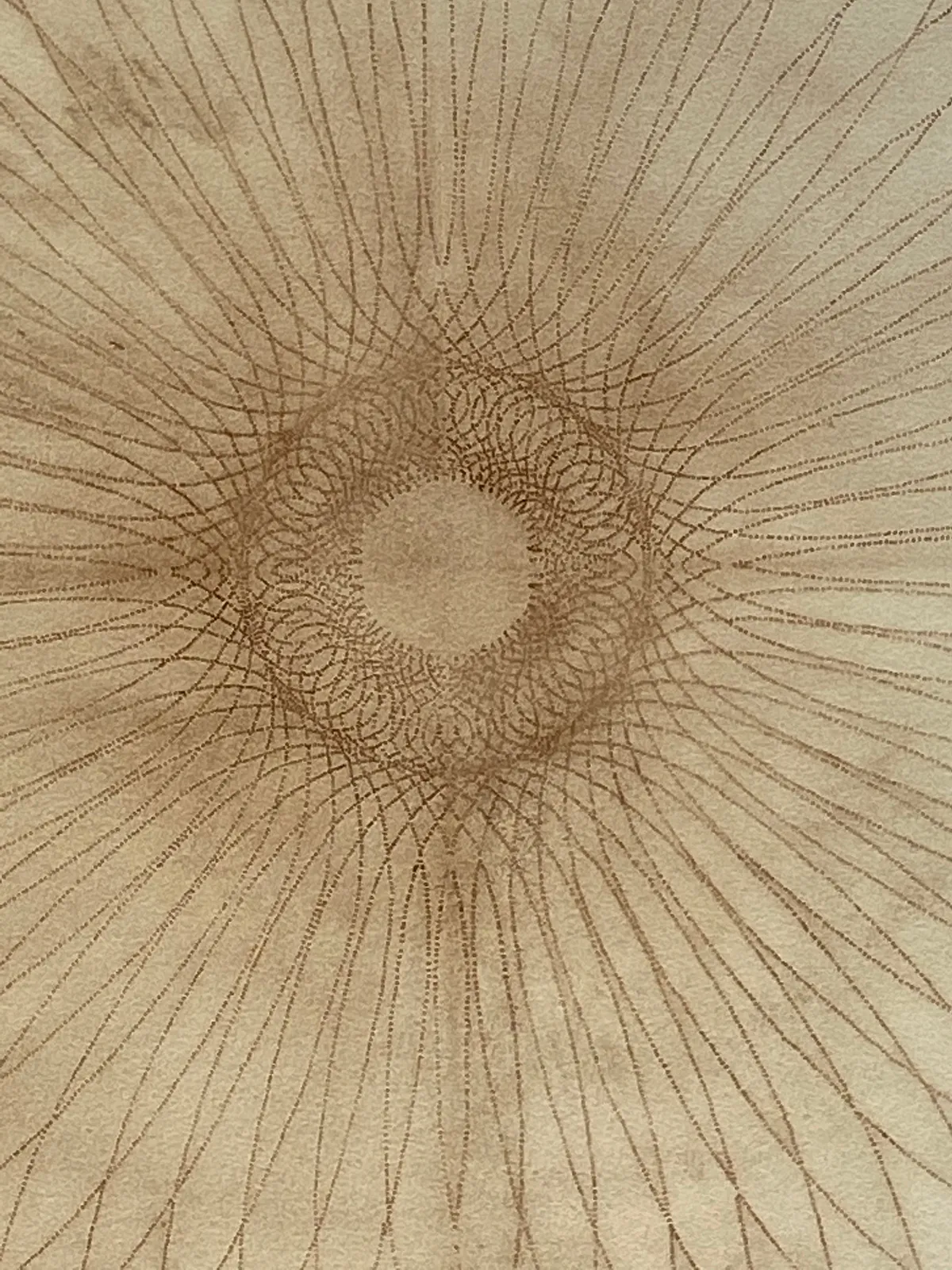 Mary Judge, Exotic Hex Series, 12/8, 2006