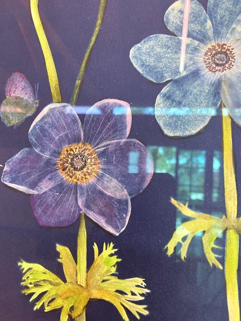 Julia Whitney Barnes, Cyanotype Painting (Anemones, Ferns, Snowdrops, Pollinators, etc), 2021