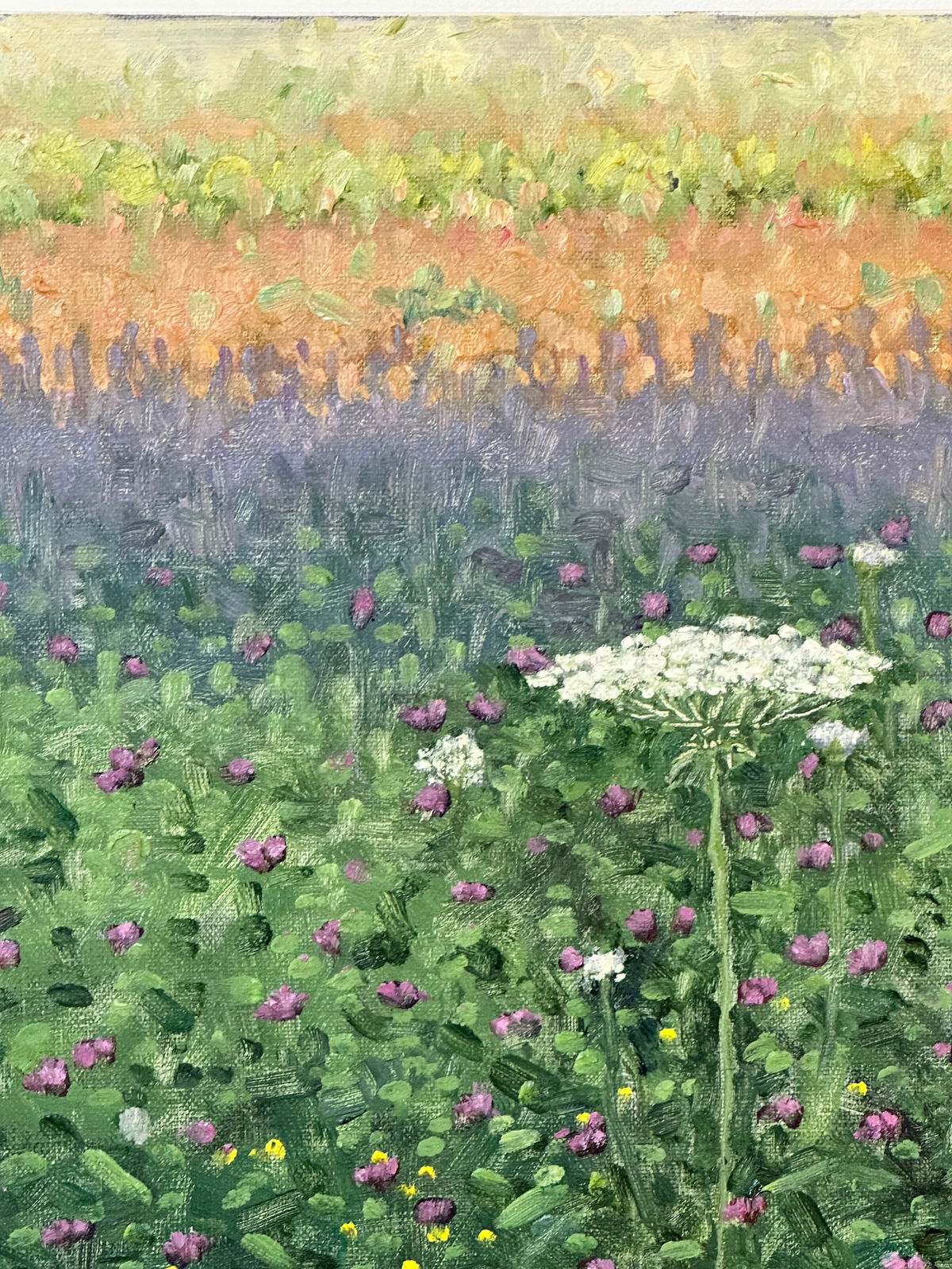 Thomas Sarrantonio, Field Painting August 9, 2023