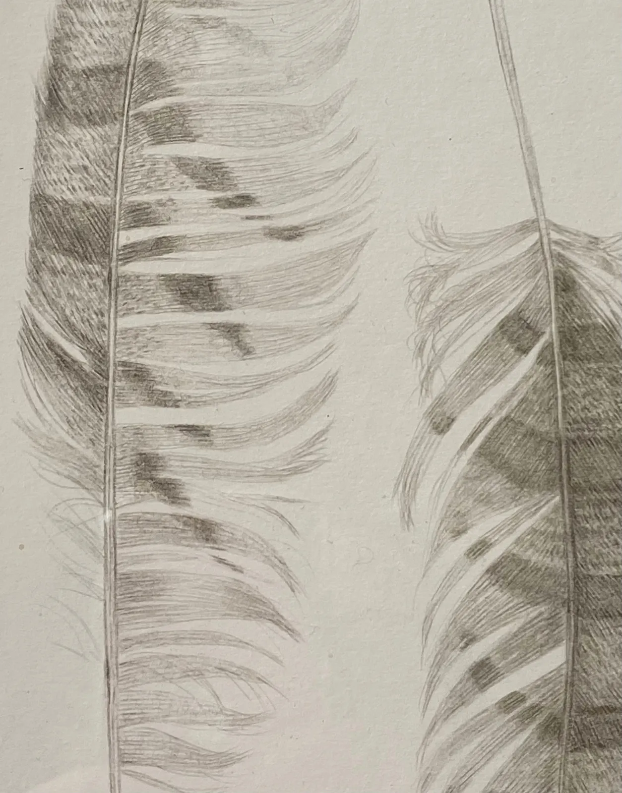 Margot Glass, Feather Group 2, 2021