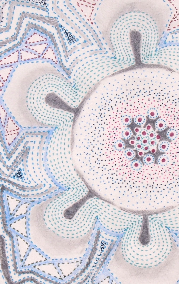 Sarah Morejohn, Blue Knight Polypore, 2017