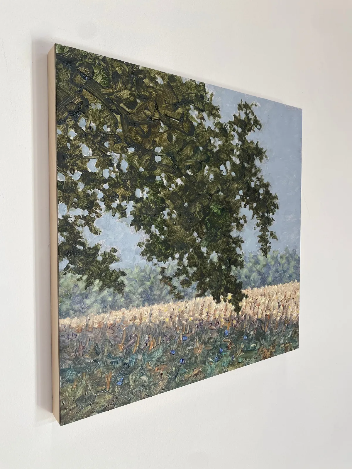 Thomas Sarrantonio, Field Painting September 9, 2022