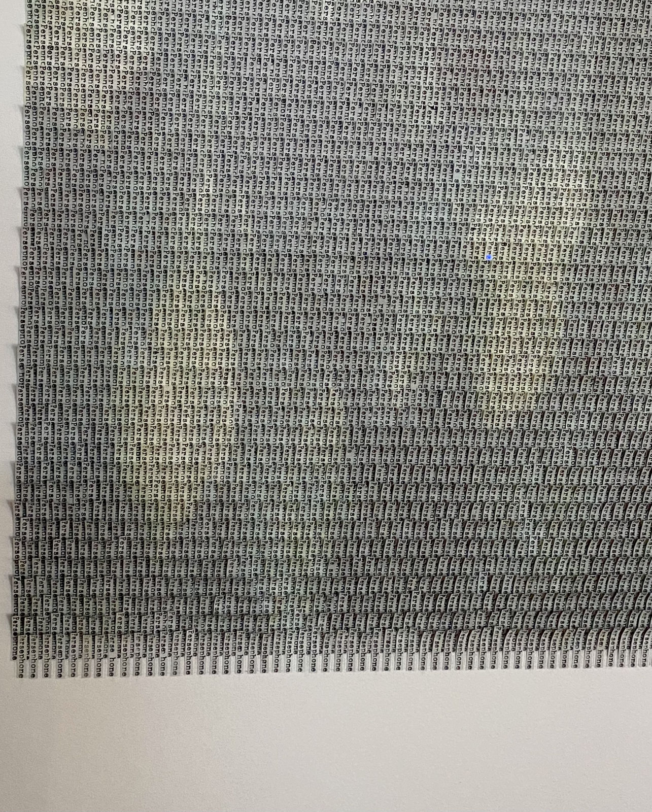 Meg Hitchcock, Persephone, 2019