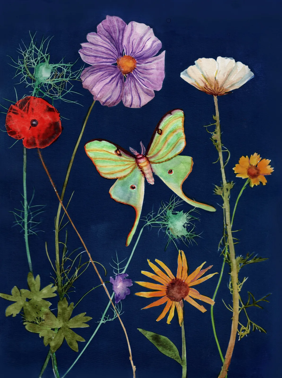 Julia Whitney Barnes, Cyanotype Painting (Luna Moth, Cosmos etc.), 2021