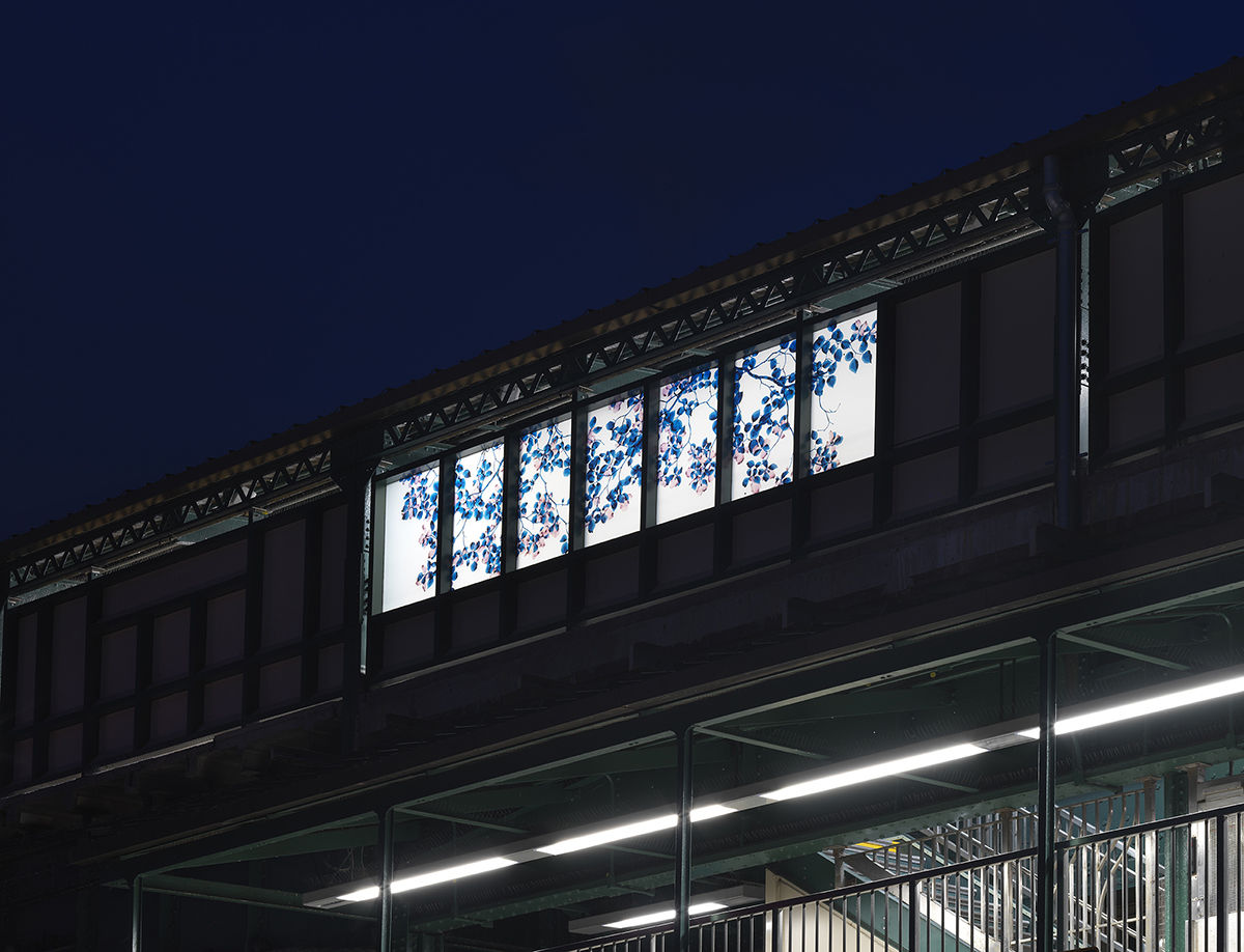 Jackie Battenfield, Dogwood, 2018