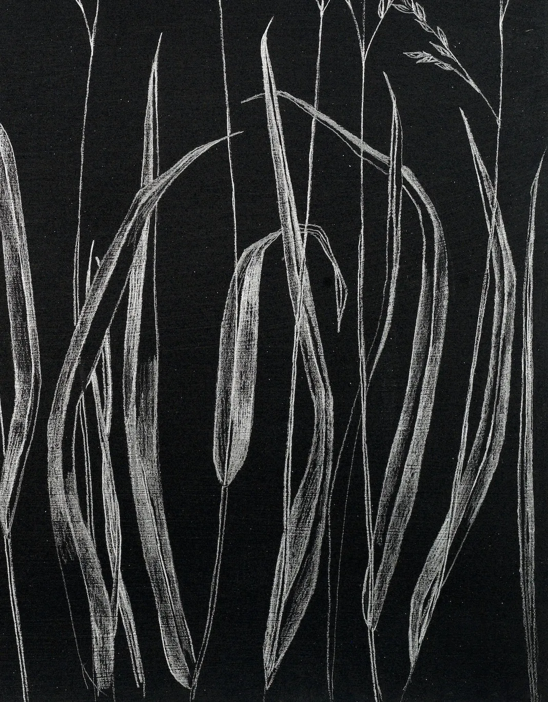 Margot Glass, Grasses, 2019