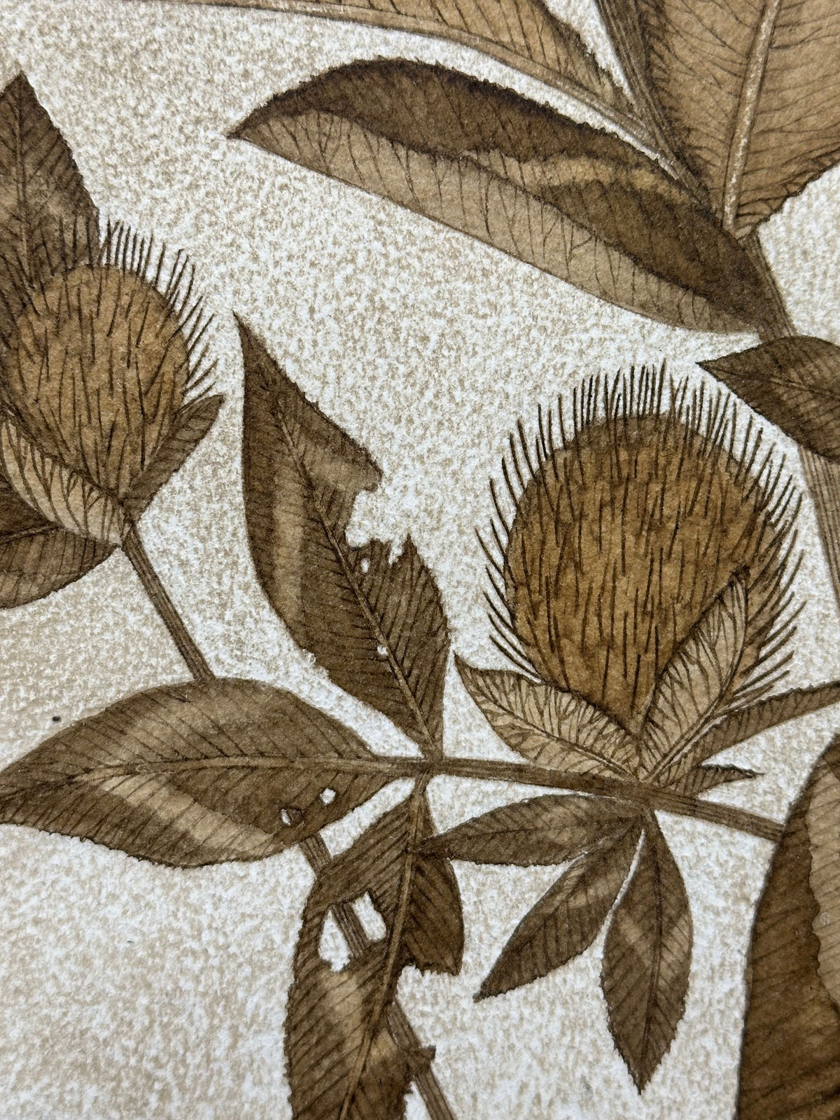 Margot Glass, Red Clover, 2024