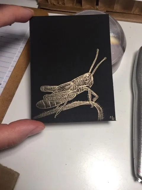 Margot Glass, Grasshopper, 2020