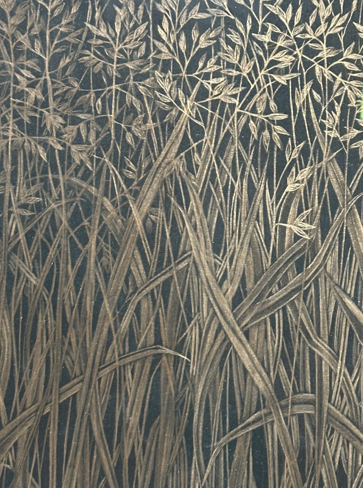 Margot Glass, Field Grasses, 2024