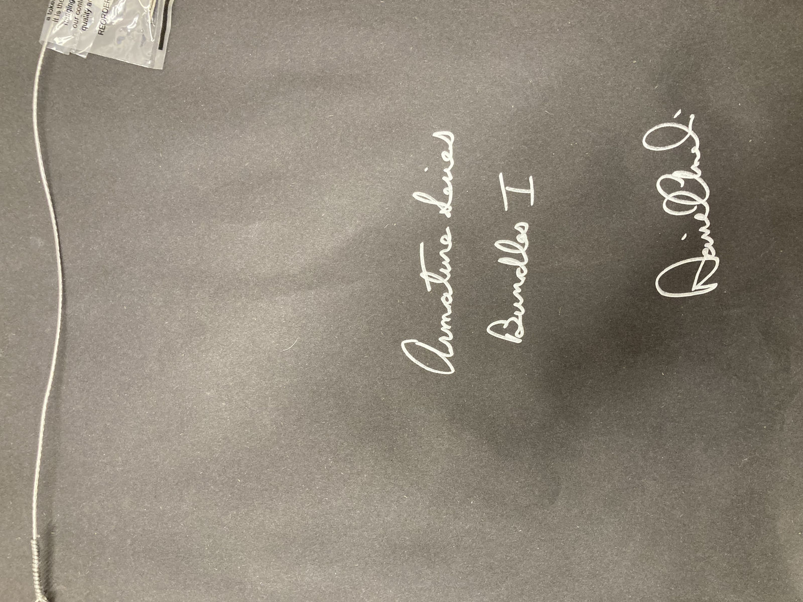 Daniel Anselmi, Armature Series Bundles I, 2019