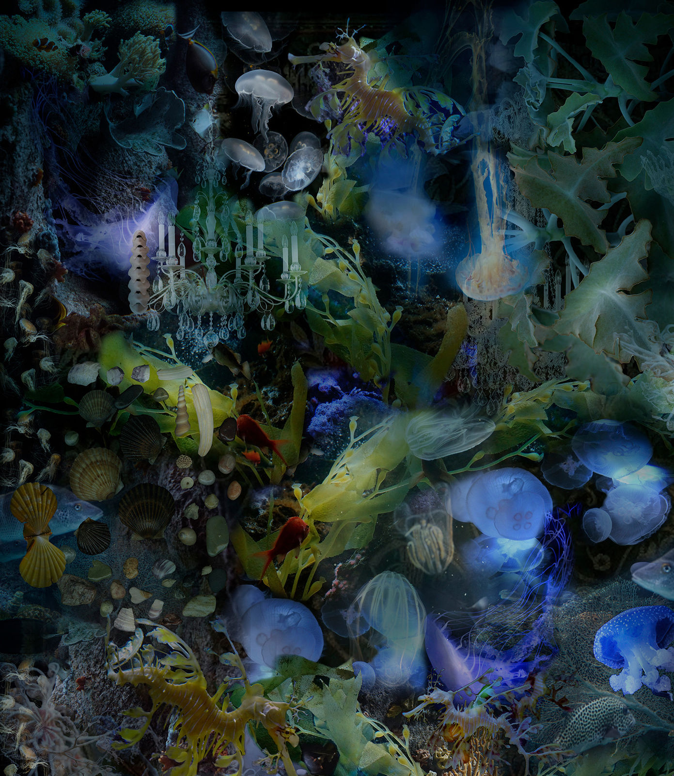 Lisa A. Frank, To Cast Aside the Weight of Facts, 2018