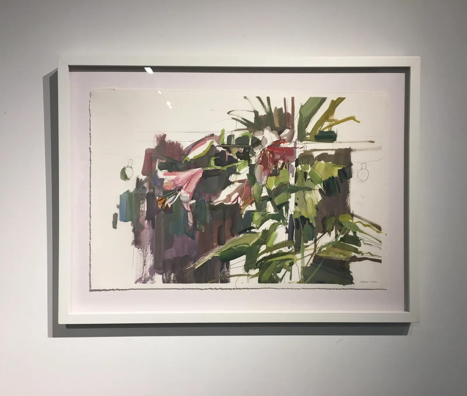 Francis Sills, Lily 2, 2014