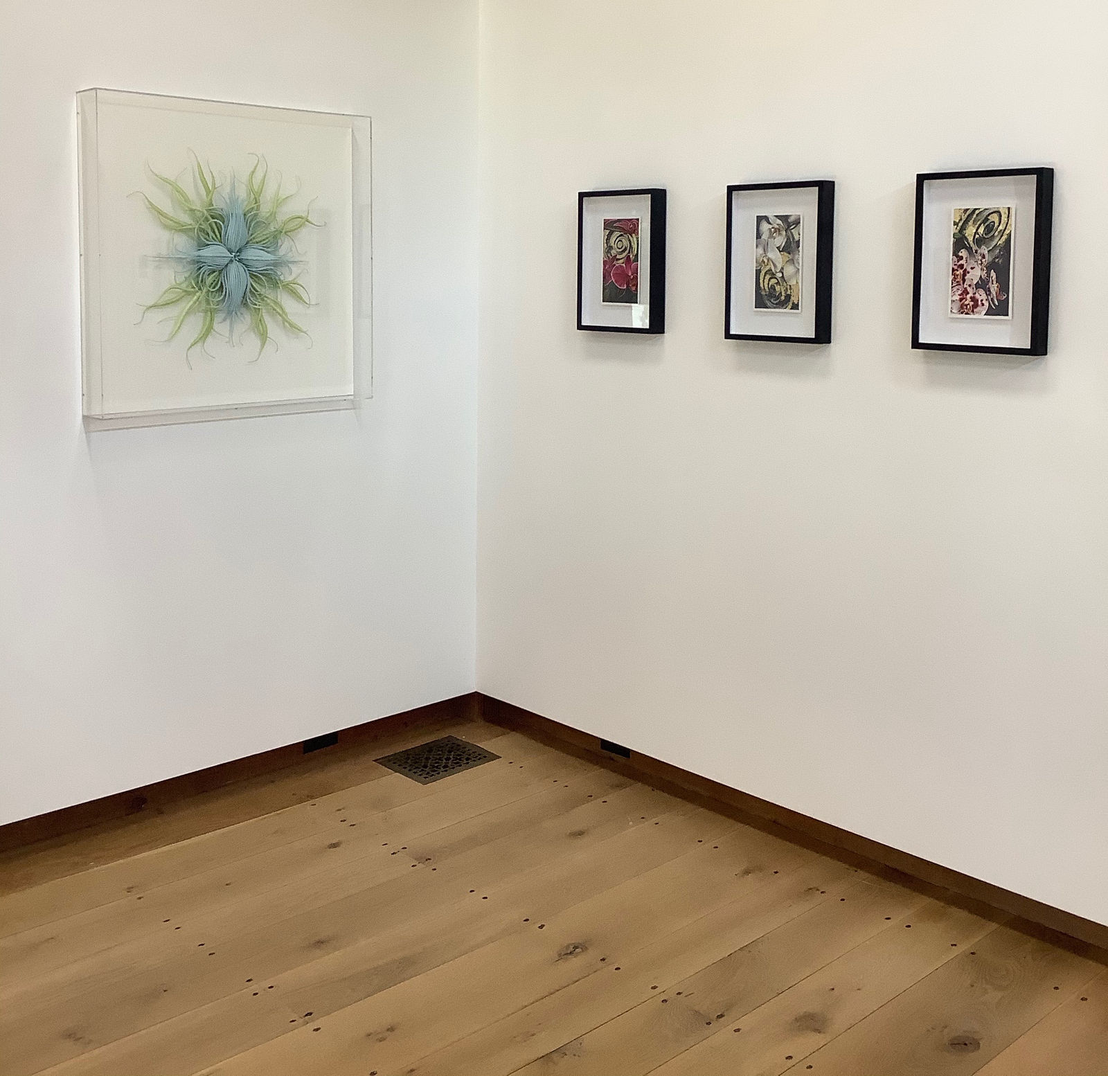 Catherine Latson, Specimen #20, 2020