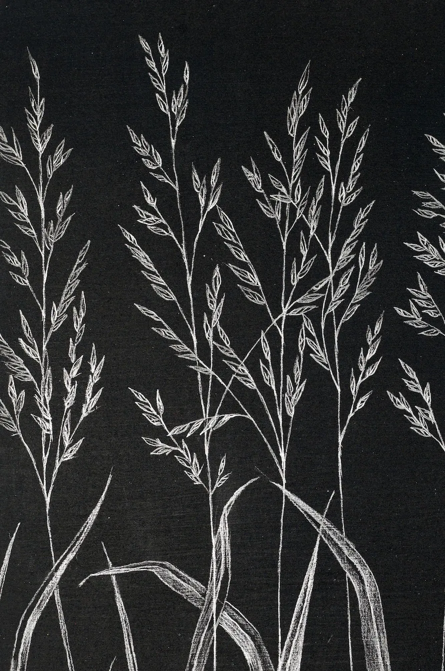 Margot Glass, Grasses, 2019