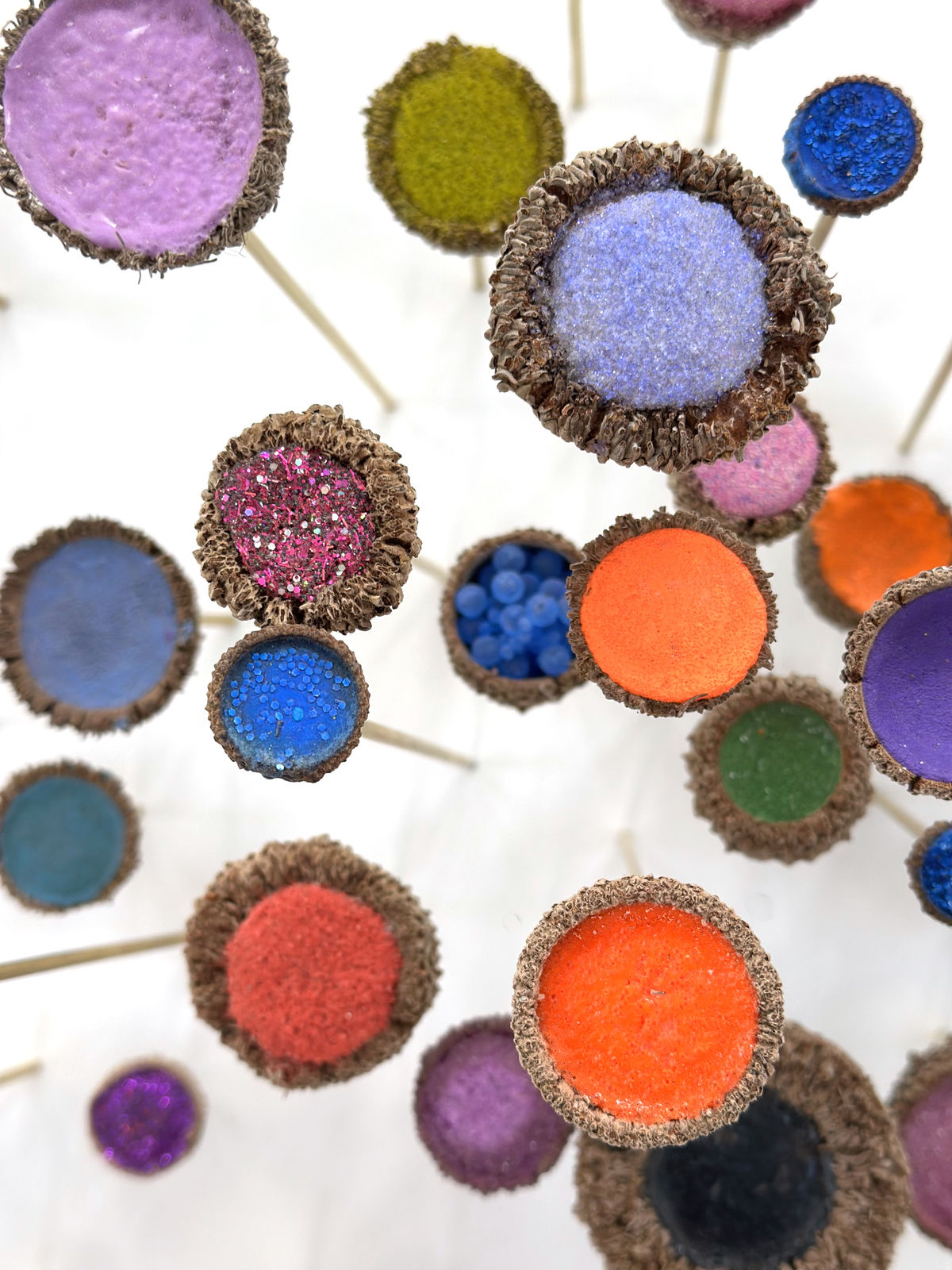 Julie Maren, Bossa Nova, 2026