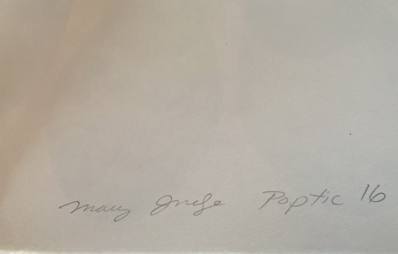 Mary Judge, Poptic 16, 2020