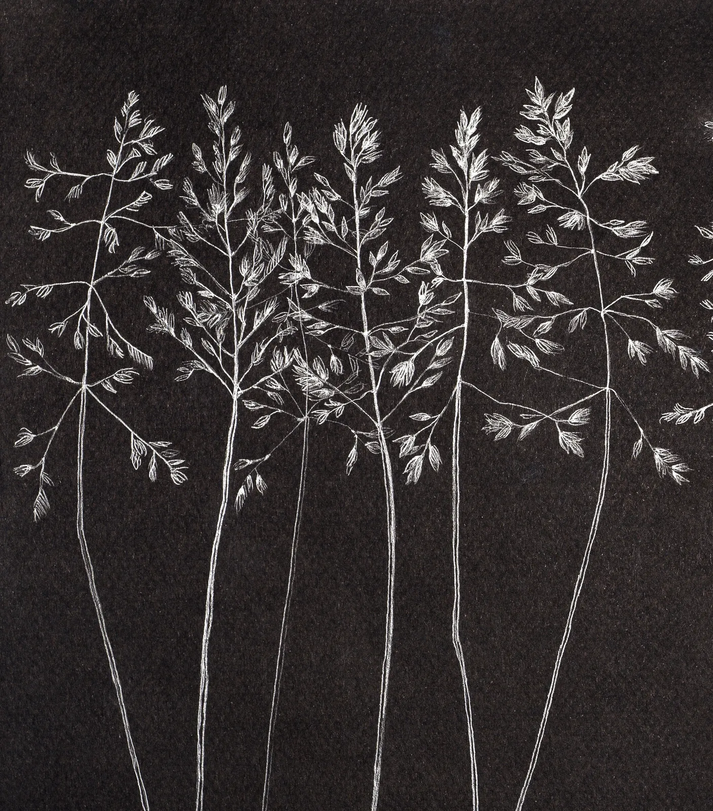 Margot Glass, Grasses 2, 2019