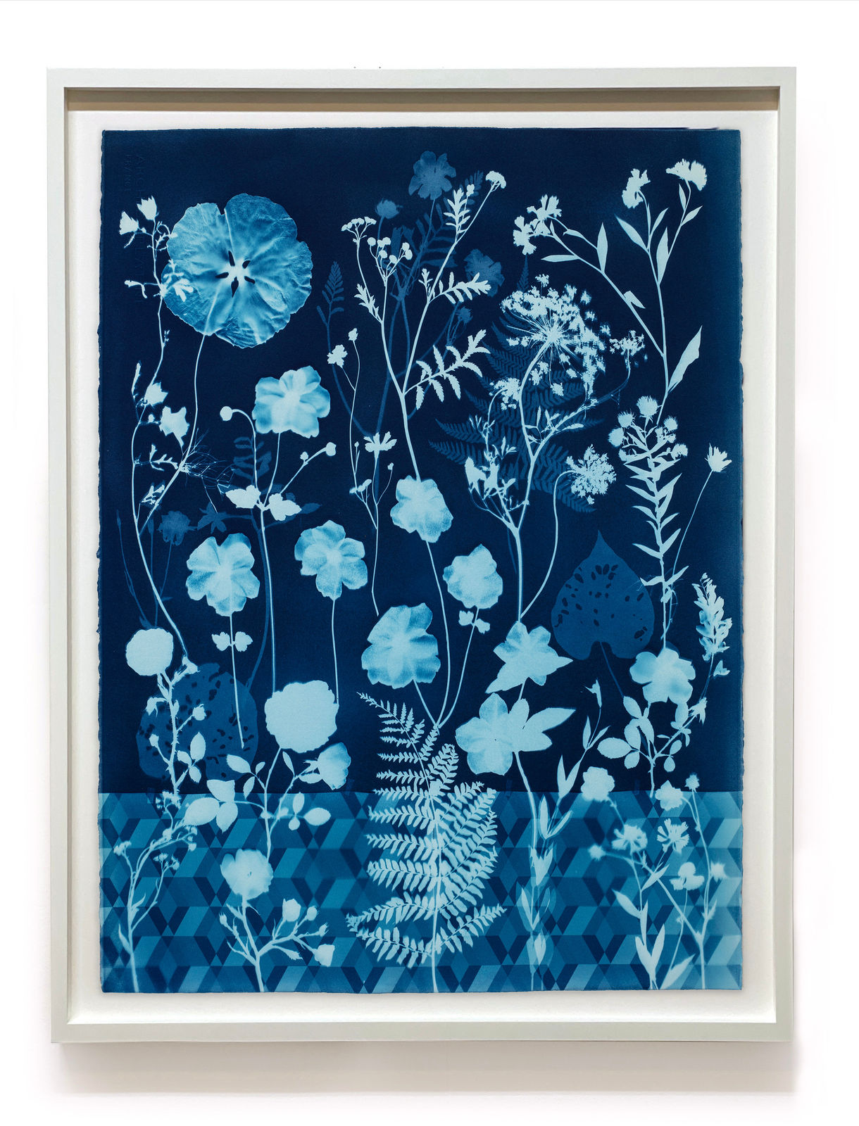 Julia Whitney Barnes, Cyanotype Painting (Anemones, Rose of Sharon, Queen Anne's Lace, Floor Pattern), 2021