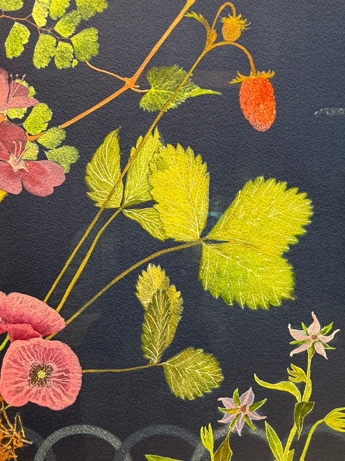 Julia Whitney Barnes, Planting Utopia (City of Peace), 2022-'24