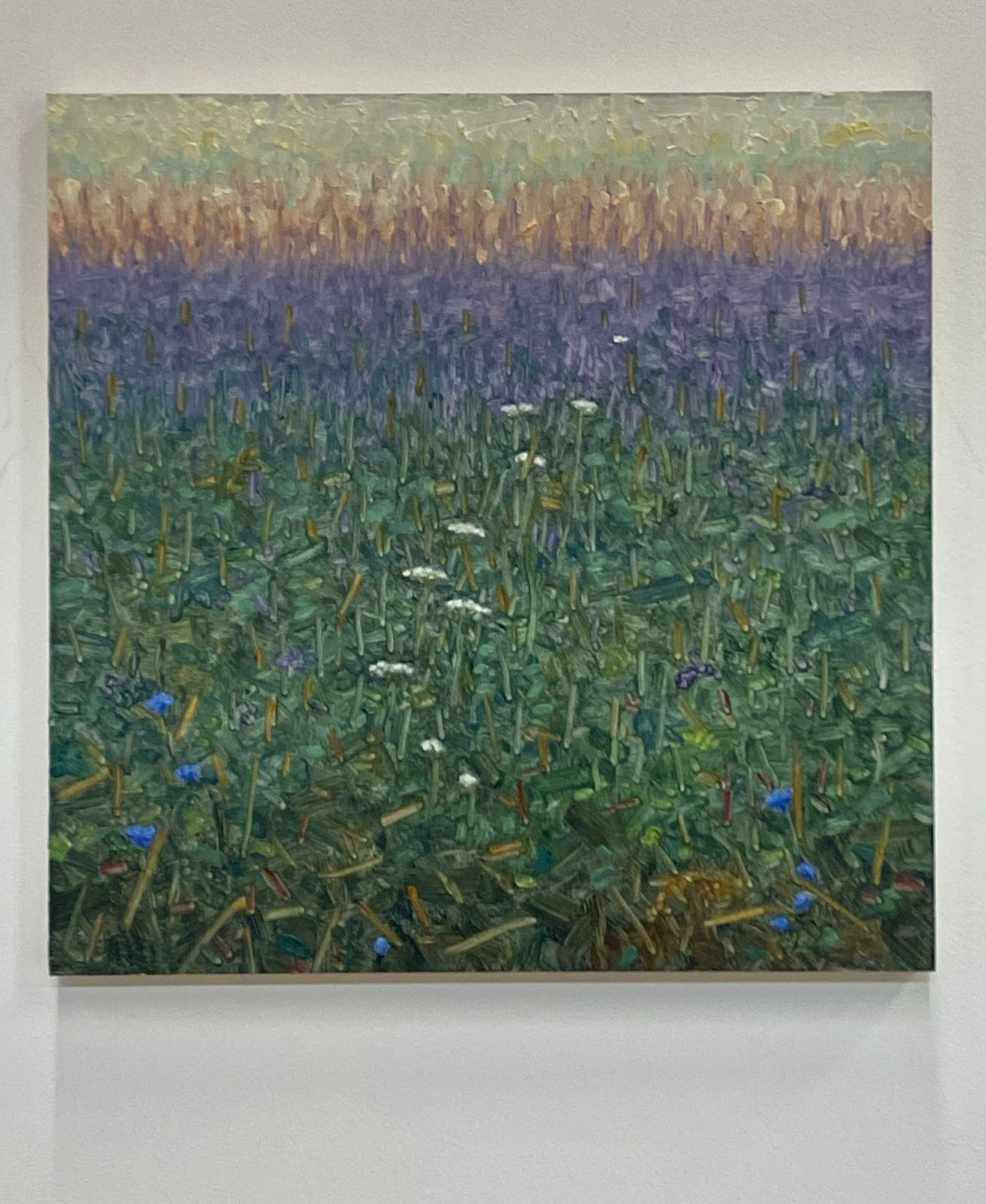 Thomas Sarrantonio, Field Painting August 3, 2022