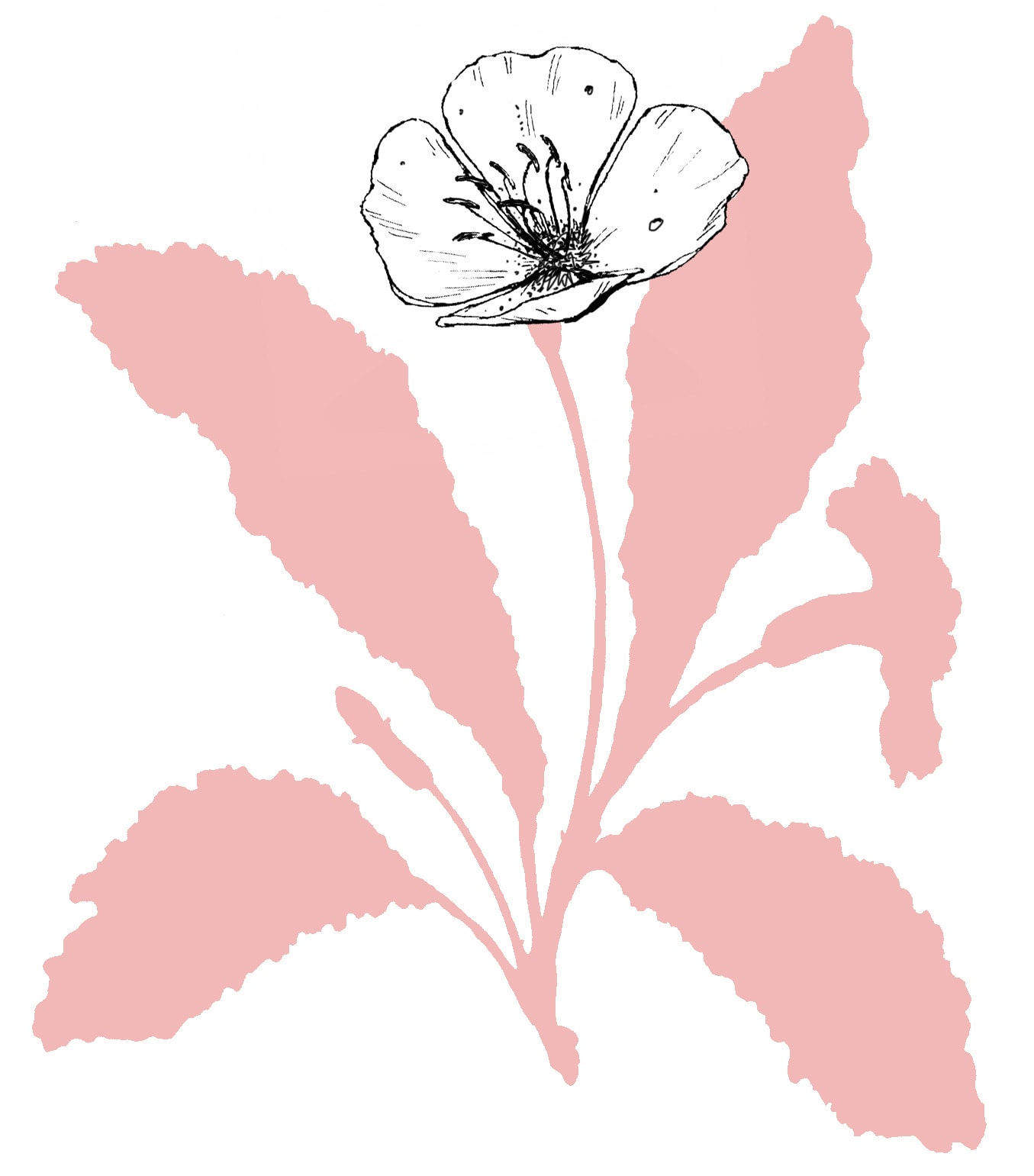 Kerry Lemon, The Flower Press