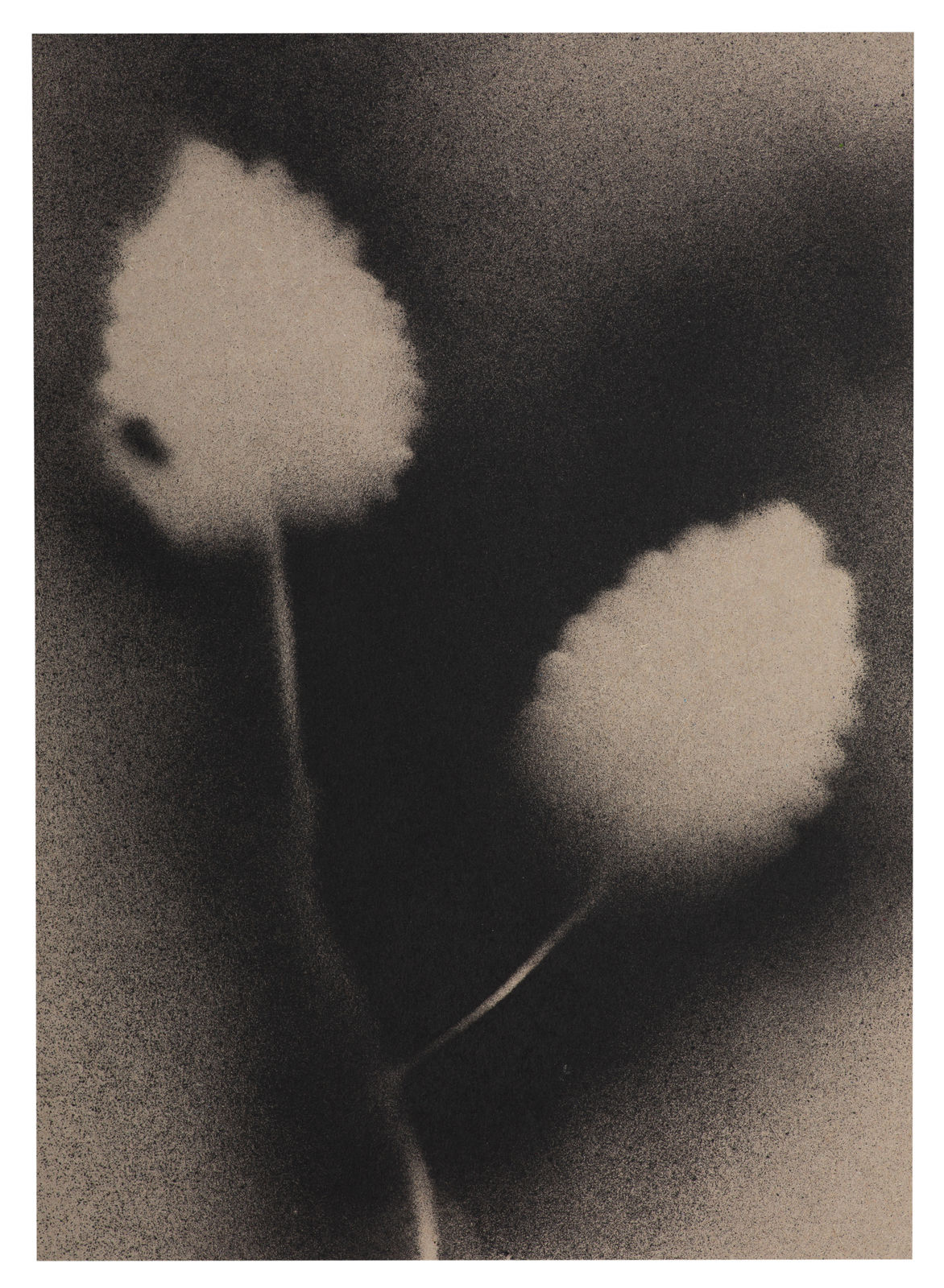 Kerry Lemon, UKRAÏNA 10