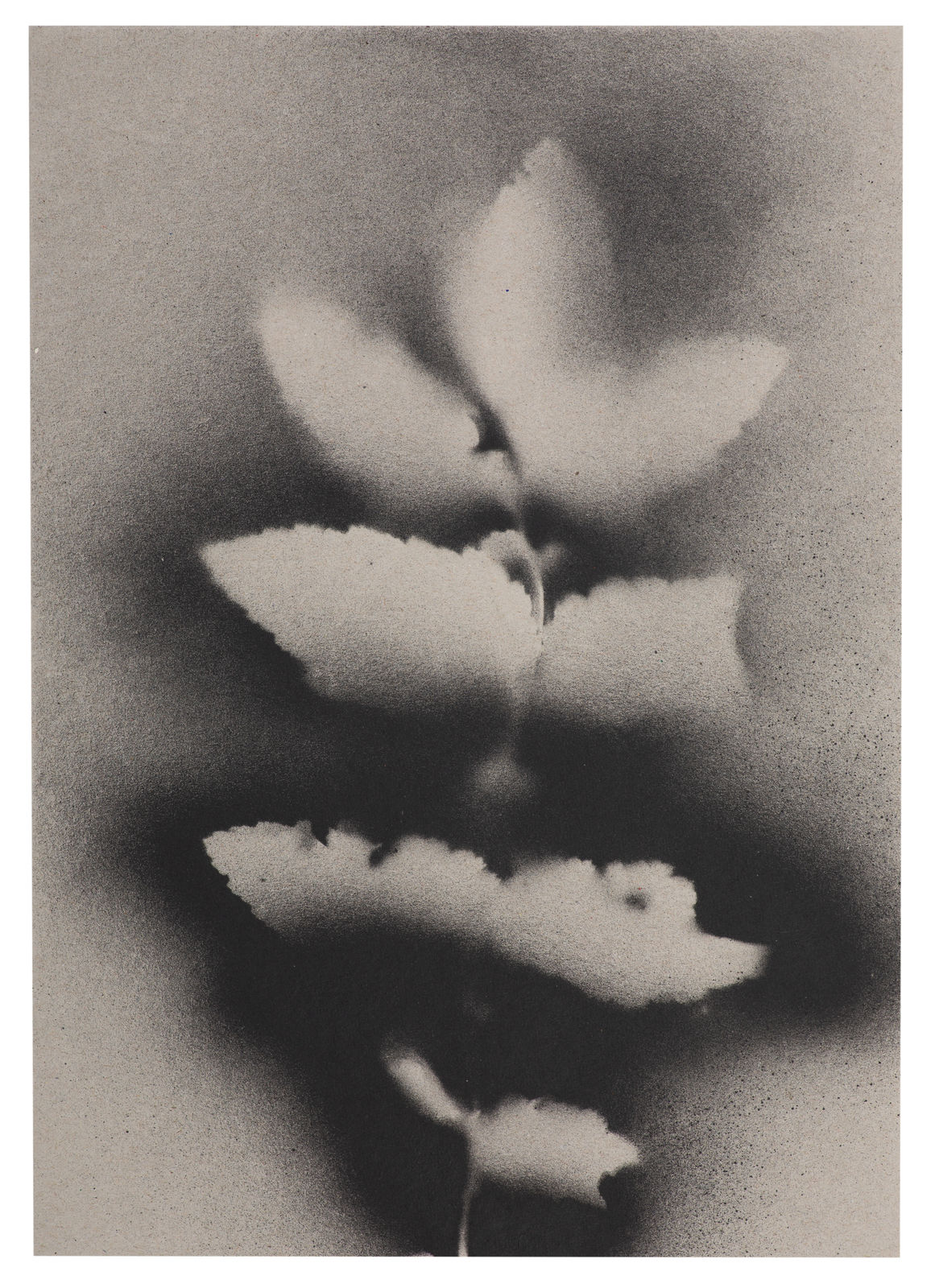 Kerry Lemon, UKRAÏNA 22