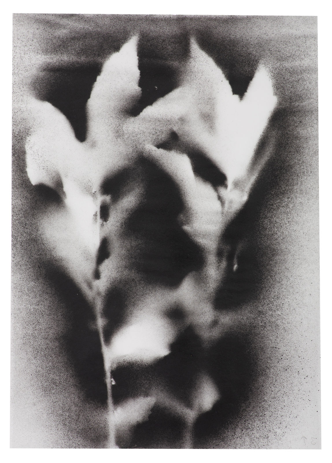 Kerry Lemon, UKRAÏNA 3