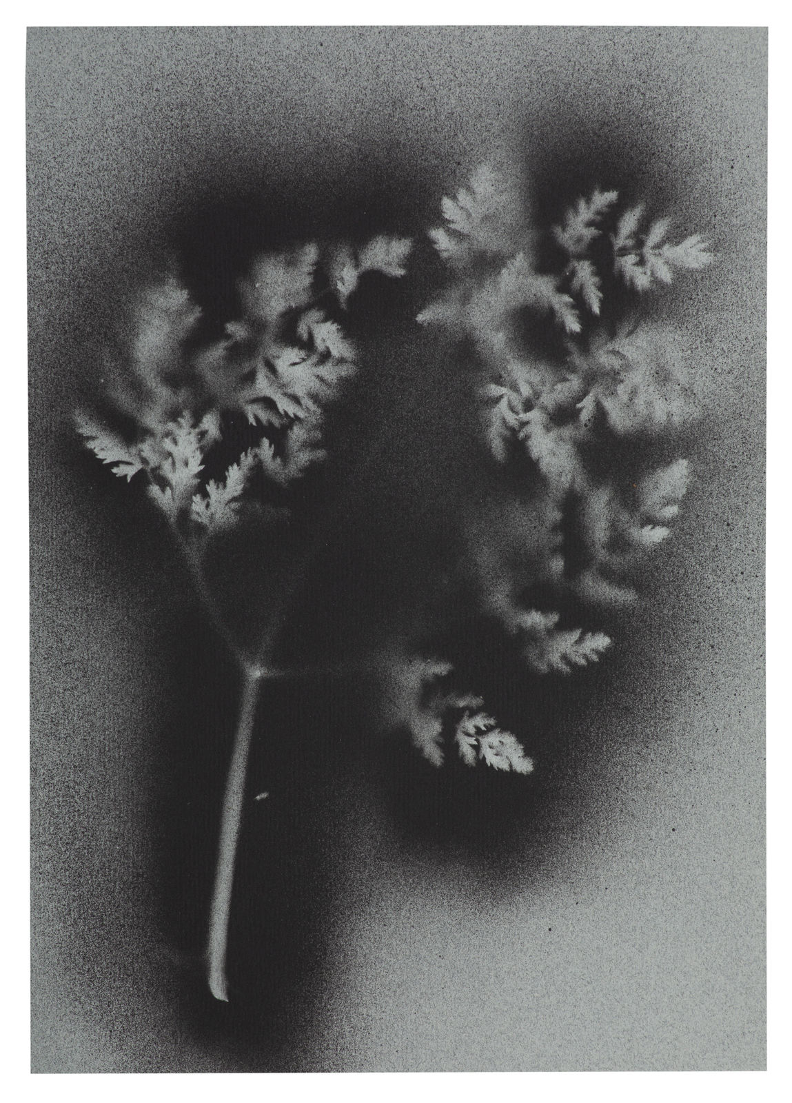 Kerry Lemon, UKRAÏNA 14